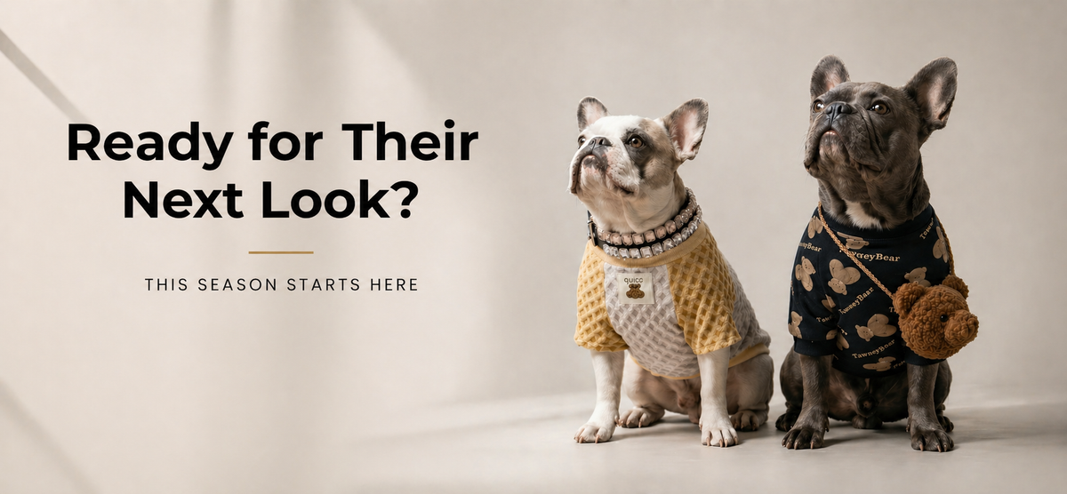 Two dogs wearing stylish outfits with text 'Ready for Their Next Look?' on a neutral background